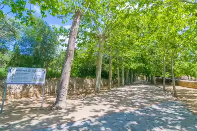 Jardines de Alfabia, Mallorca, Vacalia.com